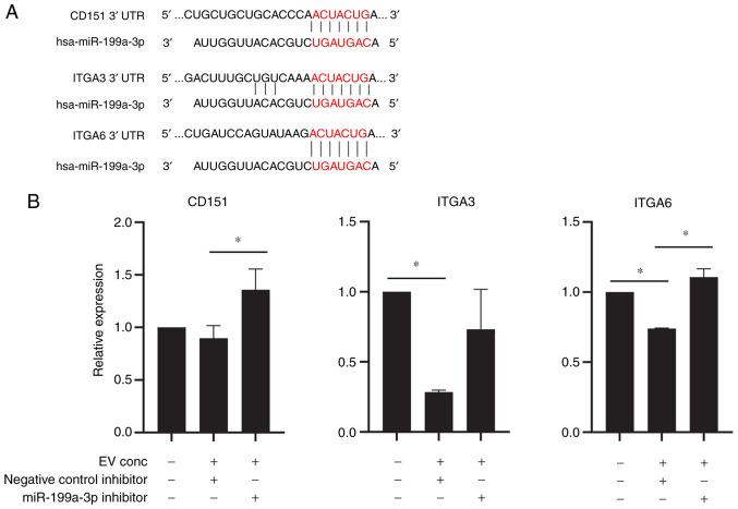 https://cdn.ncbi.nlm.nih.gov/pmc/blobs/7c84/8559701/c12cfed0e5fc/IJMM-48-06-05054-g03.jpg