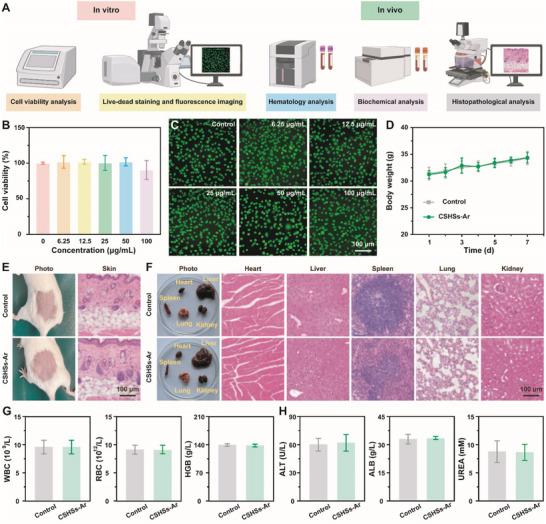 https://cdn.ncbi.nlm.nih.gov/pmc/blobs/7c8a/12412579/228e4849c67a/ADVS-12-e03237-g005.jpg