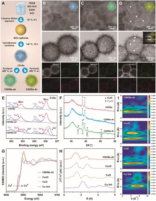 https://cdn.ncbi.nlm.nih.gov/pmc/blobs/7c8a/12412579/c45aa56ead91/ADVS-12-e03237-g001.jpg