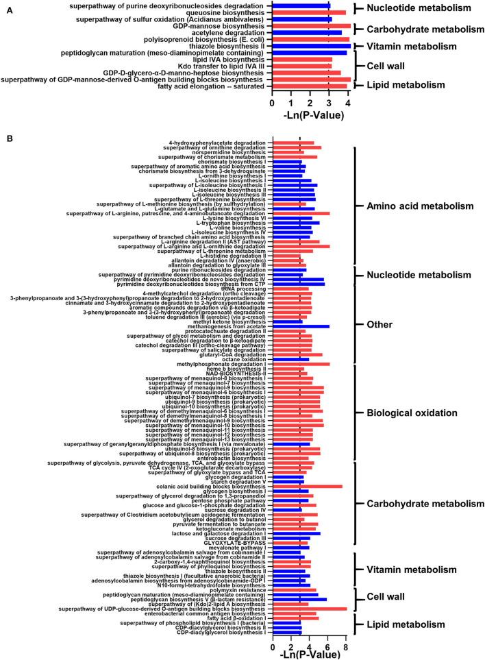 https://cdn.ncbi.nlm.nih.gov/pmc/blobs/7c8b/9273149/99361d6f00f3/fnut-09-919838-g0006.jpg