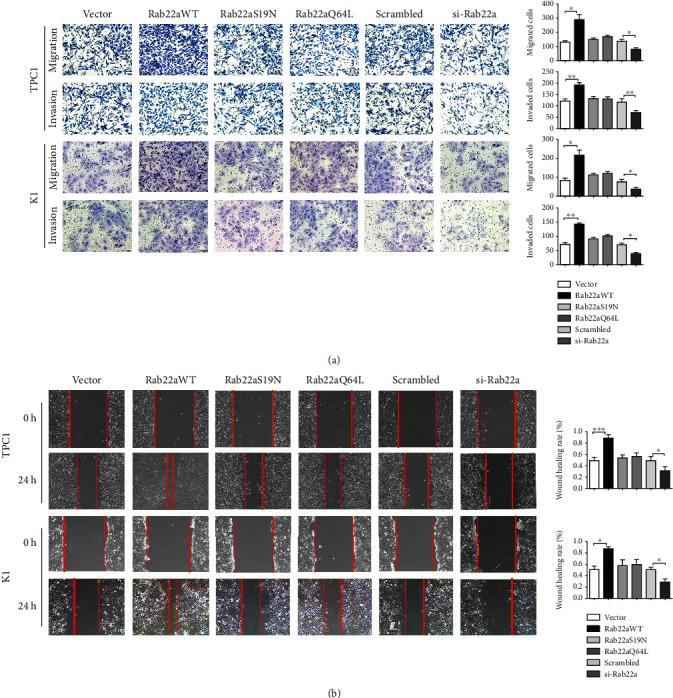 https://cdn.ncbi.nlm.nih.gov/pmc/blobs/7c8d/9217539/30b10d0cb5a0/BMRI2022-1874550.003.jpg