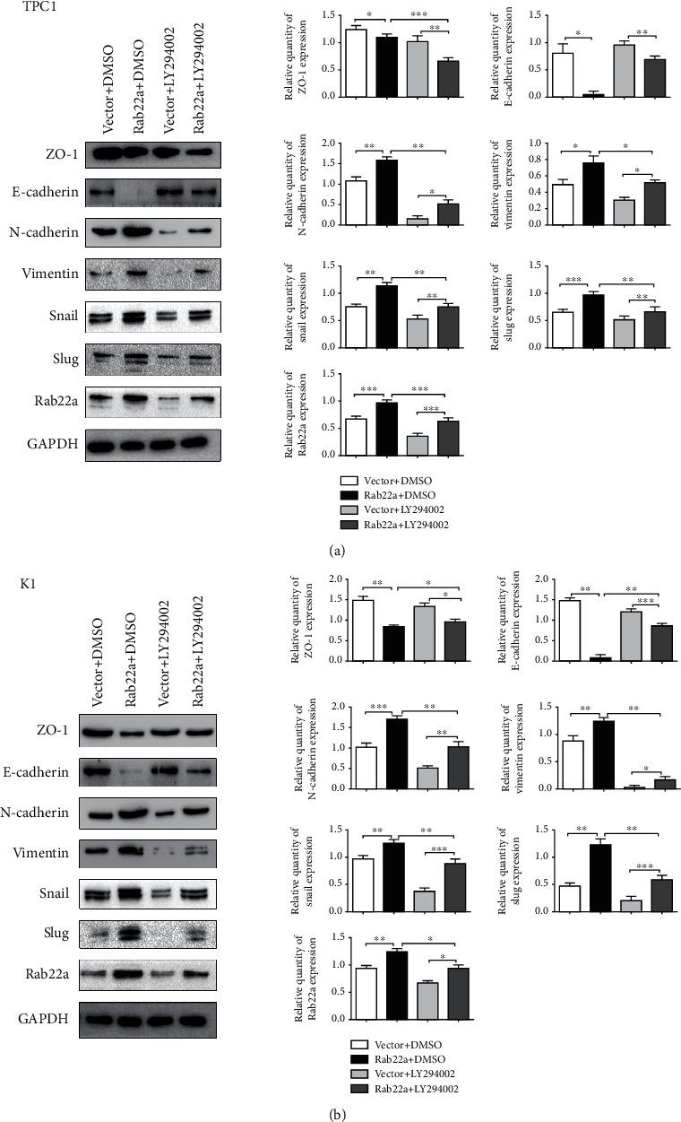 https://cdn.ncbi.nlm.nih.gov/pmc/blobs/7c8d/9217539/f46817c14ce5/BMRI2022-1874550.009.jpg