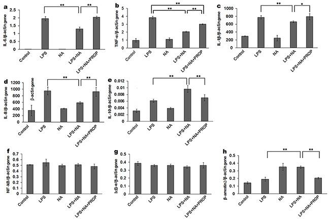 https://cdn.ncbi.nlm.nih.gov/pmc/blobs/7c8f/5239561/4071534272ff/oncotarget-07-52404-g004.jpg