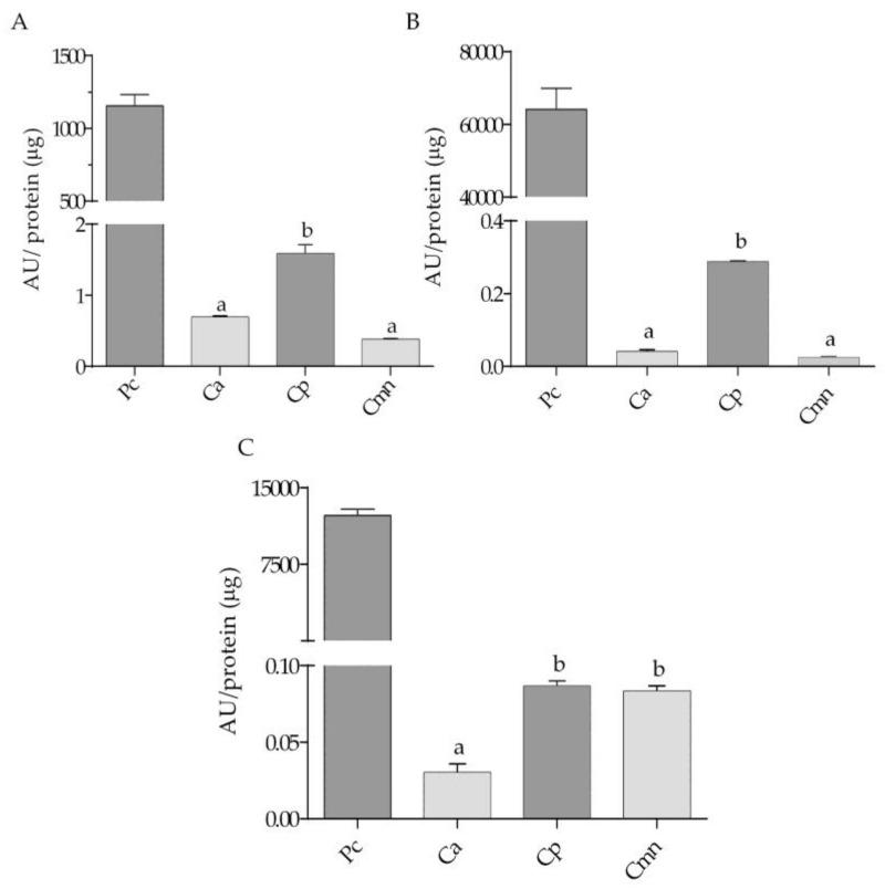 https://cdn.ncbi.nlm.nih.gov/pmc/blobs/7c8f/6514926/85962b615634/molecules-24-01489-g003.jpg