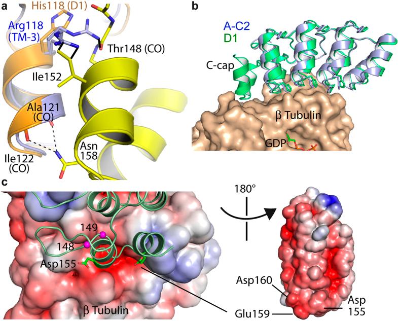 https://cdn.ncbi.nlm.nih.gov/pmc/blobs/7c91/4933879/1fe9c07fb124/srep28922-f5.jpg