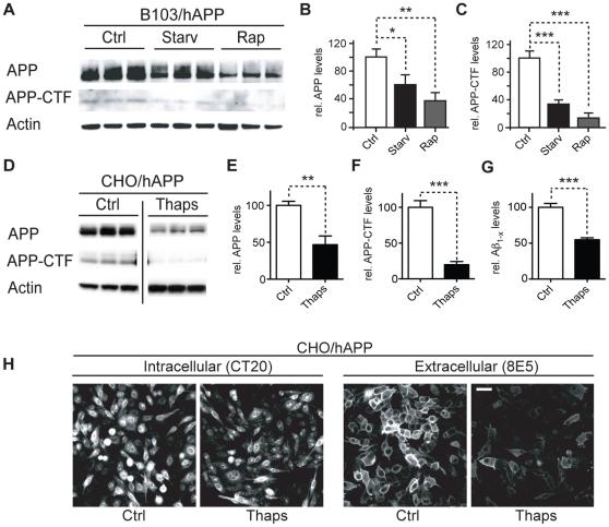 https://cdn.ncbi.nlm.nih.gov/pmc/blobs/7c92/2886067/ef8f151f7829/pone.0011102.g001.jpg