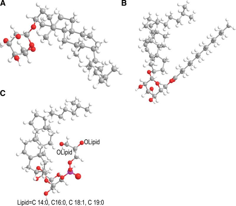 https://cdn.ncbi.nlm.nih.gov/pmc/blobs/7c93/10489377/bcfd4a1e1f44/medi-102-e34911-g001.jpg