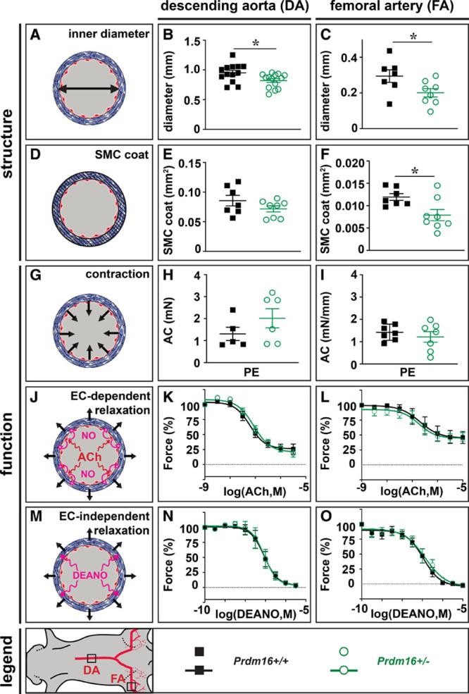 https://cdn.ncbi.nlm.nih.gov/pmc/blobs/7c93/8221541/ba6652847d59/res-129-63-g002.jpg