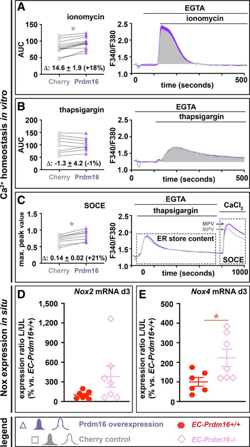 https://cdn.ncbi.nlm.nih.gov/pmc/blobs/7c93/8221541/d3dc3de3fbb6/res-129-63-g007.jpg