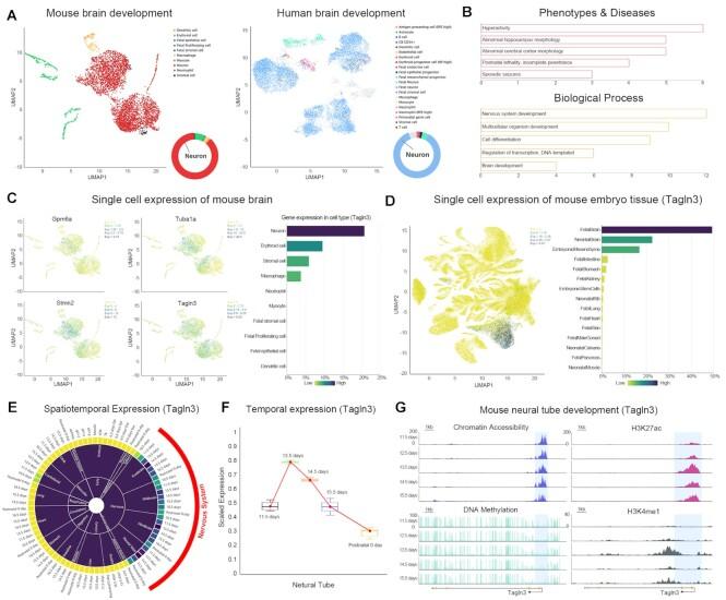 https://cdn.ncbi.nlm.nih.gov/pmc/blobs/7c97/9825456/1d7f0762da30/gkac848fig4.jpg