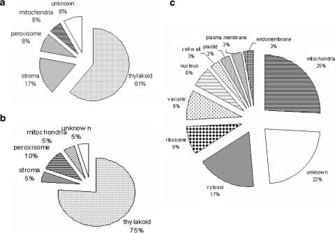 https://cdn.ncbi.nlm.nih.gov/pmc/blobs/7c98/2840667/693d8aaea7ce/425_2010_1121_Fig4_HTML.jpg