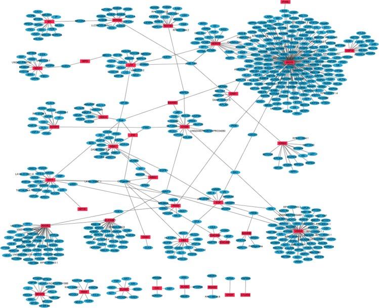 https://cdn.ncbi.nlm.nih.gov/pmc/blobs/7c98/5349981/16b6ef989484/oncotarget-07-87194-g002.jpg