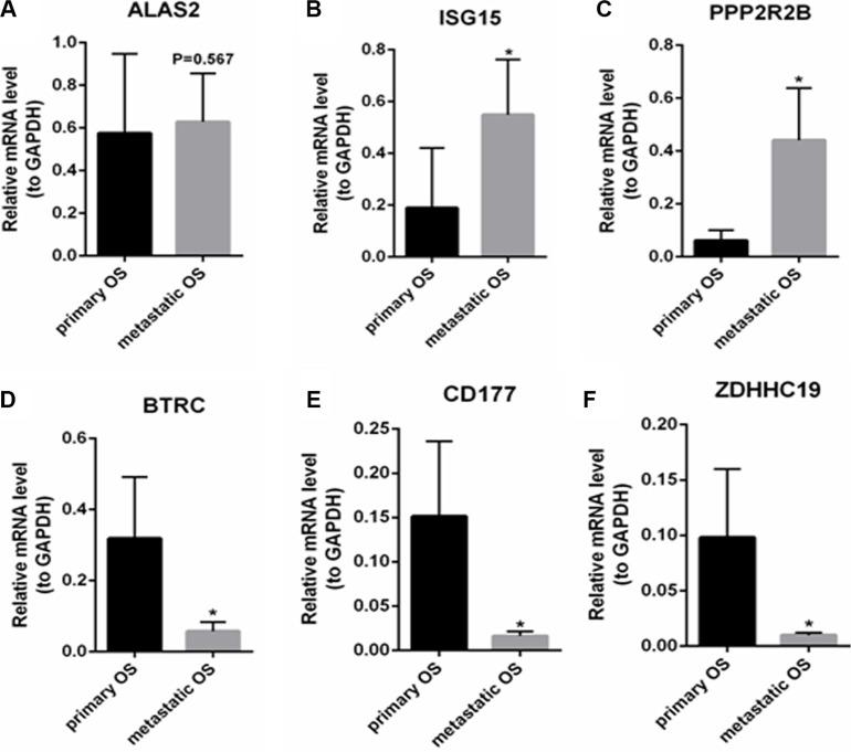 https://cdn.ncbi.nlm.nih.gov/pmc/blobs/7c98/5349981/4114de4940dd/oncotarget-07-87194-g004.jpg