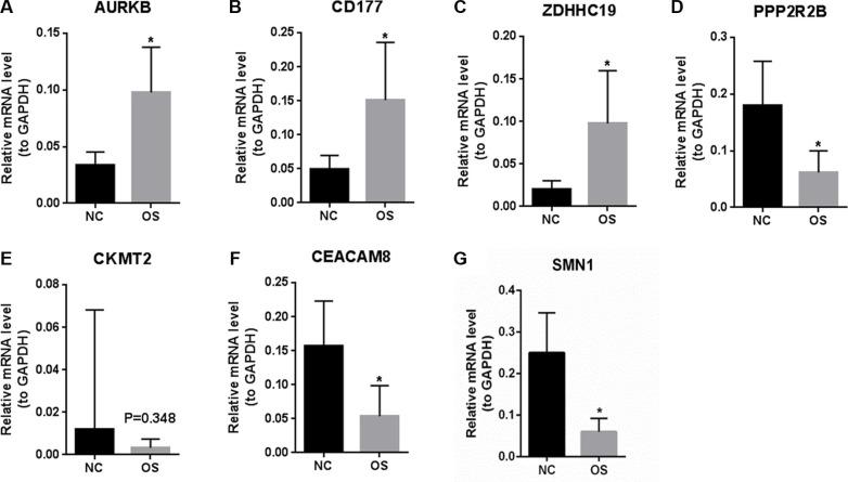 https://cdn.ncbi.nlm.nih.gov/pmc/blobs/7c98/5349981/683915f67e52/oncotarget-07-87194-g003.jpg