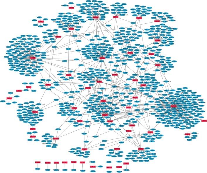 https://cdn.ncbi.nlm.nih.gov/pmc/blobs/7c98/5349981/bc8a7f311423/oncotarget-07-87194-g001.jpg