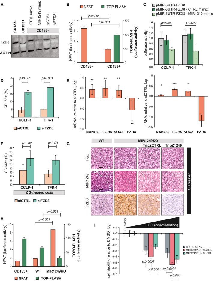 https://cdn.ncbi.nlm.nih.gov/pmc/blobs/7c98/7590111/464d86da48b1/HEP-72-982-g005.jpg