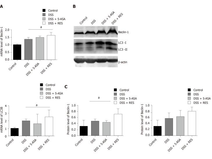 https://cdn.ncbi.nlm.nih.gov/pmc/blobs/7c99/7476174/76665592b888/WJG-26-4945-g006.jpg