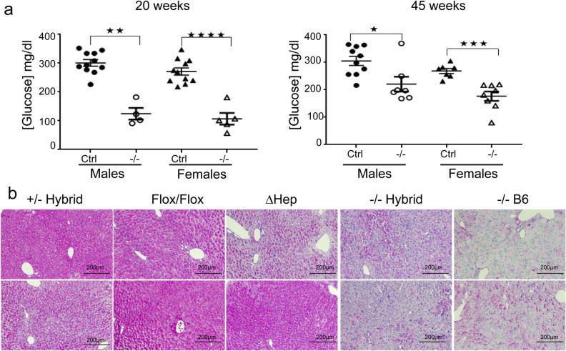 https://cdn.ncbi.nlm.nih.gov/pmc/blobs/7c9a/7952580/7961003a94ac/41598_2021_84894_Fig4_HTML.jpg