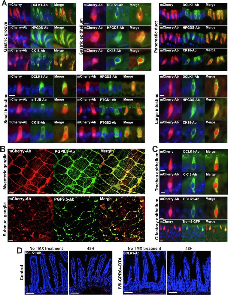 https://cdn.ncbi.nlm.nih.gov/pmc/blobs/7c9a/8105302/7dddd790dcc9/gr2.jpg
