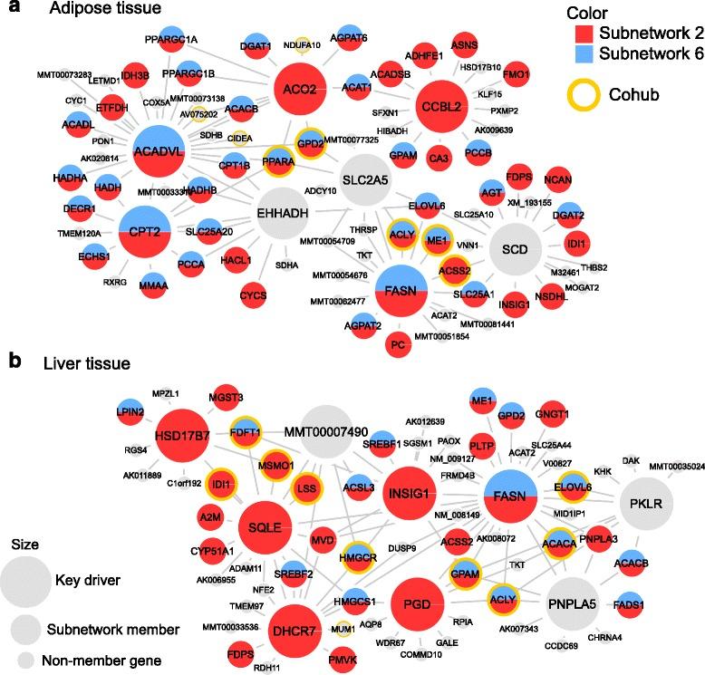 https://cdn.ncbi.nlm.nih.gov/pmc/blobs/7c9c/5097440/de7bbb116173/12864_2016_3198_Fig6_HTML.jpg