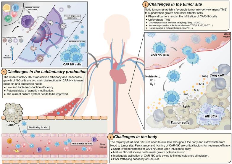 https://cdn.ncbi.nlm.nih.gov/pmc/blobs/7ca0/10413722/df6c79c4af23/40164_2023_431_Fig4_HTML.jpg