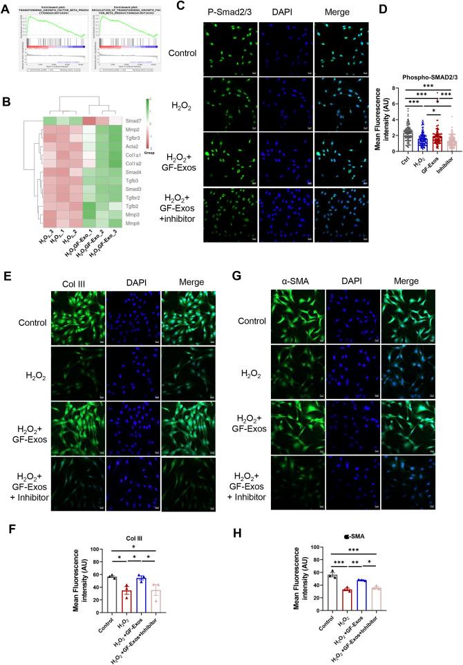 https://cdn.ncbi.nlm.nih.gov/pmc/blobs/7ca0/12336195/1aa80636dfbe/fbioe-13-1615650-g006.jpg
