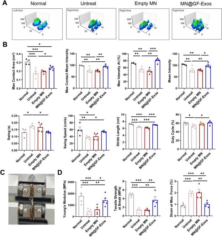 https://cdn.ncbi.nlm.nih.gov/pmc/blobs/7ca0/12336195/5621d136b29f/fbioe-13-1615650-g008.jpg