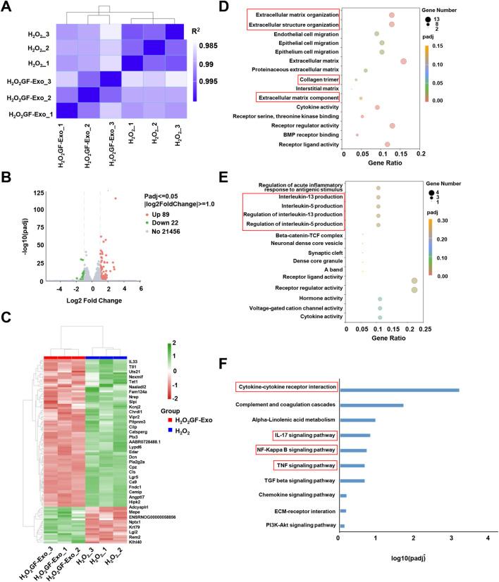 https://cdn.ncbi.nlm.nih.gov/pmc/blobs/7ca0/12336195/9a80b9bfa57e/fbioe-13-1615650-g005.jpg