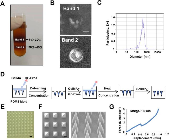 https://cdn.ncbi.nlm.nih.gov/pmc/blobs/7ca0/12336195/a1cc1edf091f/fbioe-13-1615650-g002.jpg