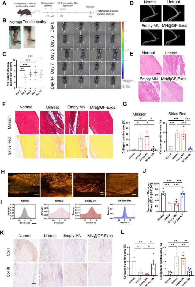 https://cdn.ncbi.nlm.nih.gov/pmc/blobs/7ca0/12336195/b1874cf856c8/fbioe-13-1615650-g007.jpg