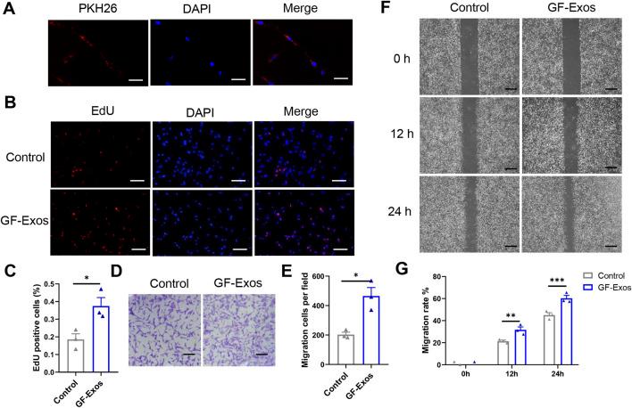 https://cdn.ncbi.nlm.nih.gov/pmc/blobs/7ca0/12336195/d65044305661/fbioe-13-1615650-g003.jpg