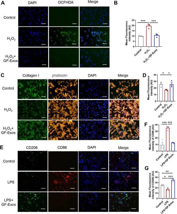 https://cdn.ncbi.nlm.nih.gov/pmc/blobs/7ca0/12336195/d93fcedb0e14/fbioe-13-1615650-g004.jpg