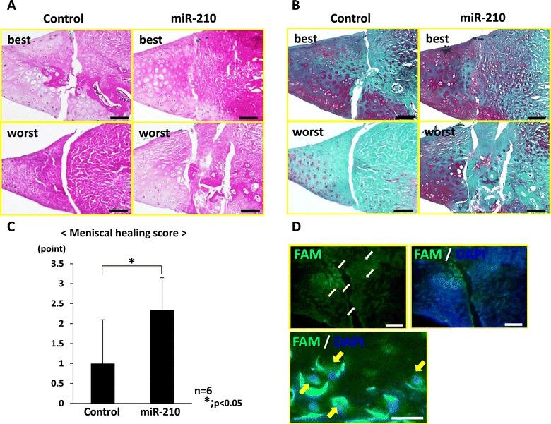 https://cdn.ncbi.nlm.nih.gov/pmc/blobs/7ca0/4265493/4705e175fe6e/13075_2014_488_Fig1_HTML.jpg