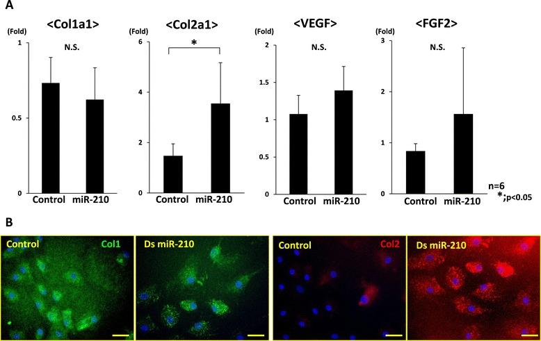 https://cdn.ncbi.nlm.nih.gov/pmc/blobs/7ca0/4265493/a27206410f8b/13075_2014_488_Fig5_HTML.jpg
