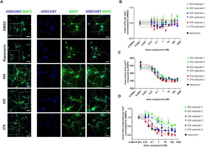 https://cdn.ncbi.nlm.nih.gov/pmc/blobs/7ca2/12337281/7a91926ed614/fnins-19-1595880-g004.jpg