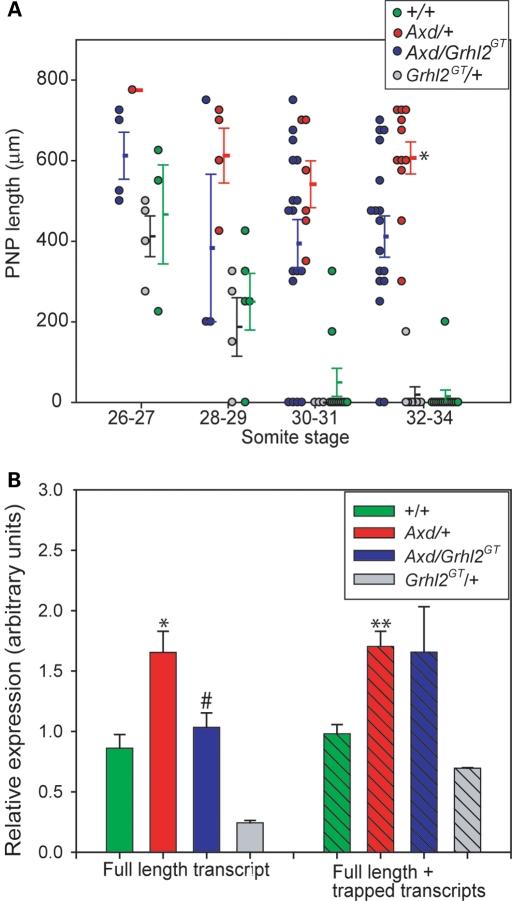 https://cdn.ncbi.nlm.nih.gov/pmc/blobs/7ca2/3063985/5b28da03e930/ddr03105.jpg