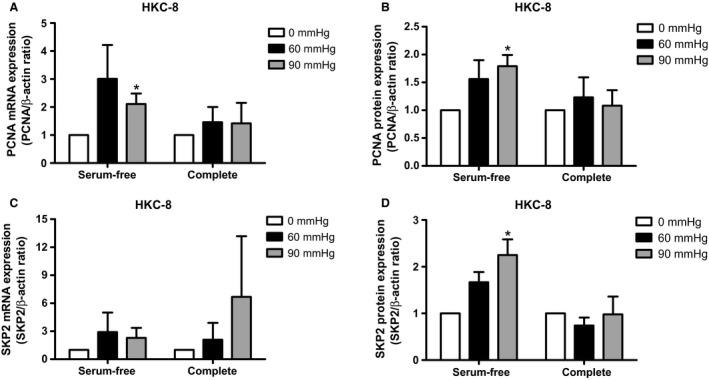 https://cdn.ncbi.nlm.nih.gov/pmc/blobs/7ca4/5599855/0d7081db1896/PHY2-5-e13346-g003.jpg