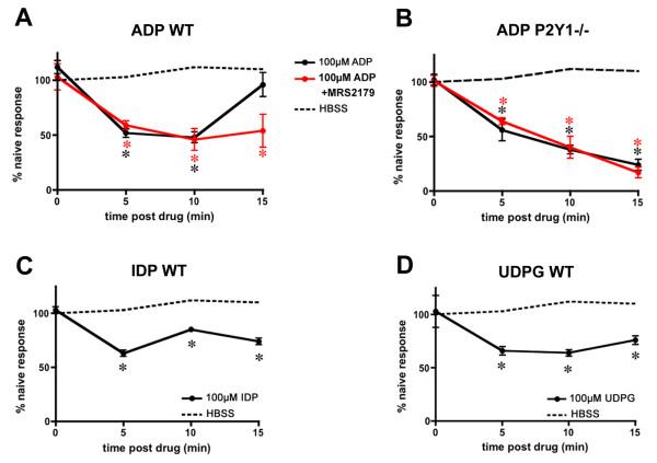https://cdn.ncbi.nlm.nih.gov/pmc/blobs/7ca5/2865444/802fea867e06/1744-8069-6-21-4.jpg