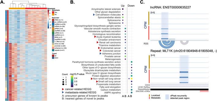 https://cdn.ncbi.nlm.nih.gov/pmc/blobs/7ca6/12060323/703f96e25c5b/13059_2025_3590_Fig7_HTML.jpg
