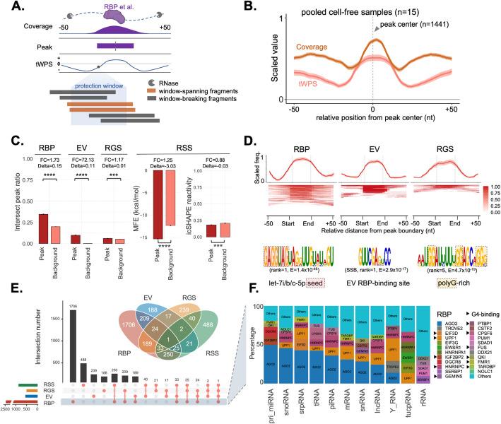 https://cdn.ncbi.nlm.nih.gov/pmc/blobs/7ca6/12060323/879fb753dbe9/13059_2025_3590_Fig5_HTML.jpg