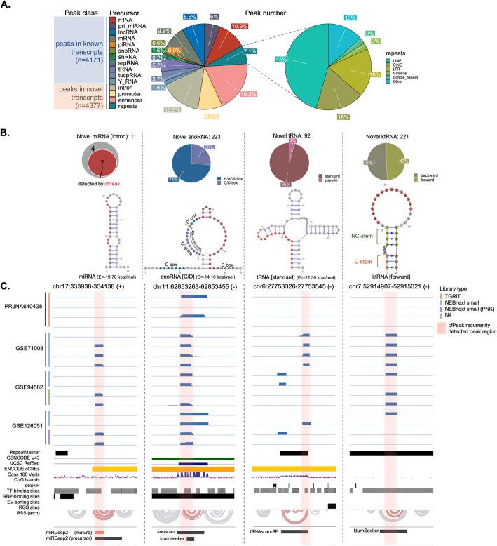 https://cdn.ncbi.nlm.nih.gov/pmc/blobs/7ca6/12060323/a2d390afac88/13059_2025_3590_Fig4_HTML.jpg