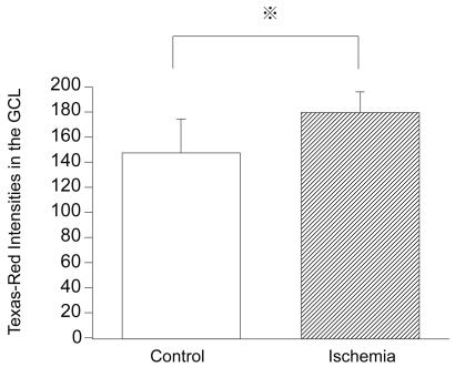 https://cdn.ncbi.nlm.nih.gov/pmc/blobs/7ca6/2699777/391498437baf/co-2-743f3.jpg