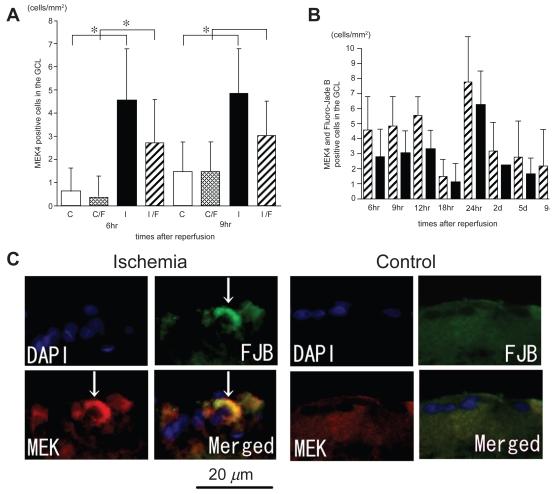 https://cdn.ncbi.nlm.nih.gov/pmc/blobs/7ca6/2699777/3f4886cf0007/co-2-743f6.jpg