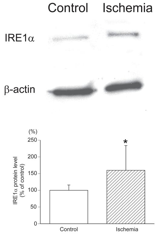 https://cdn.ncbi.nlm.nih.gov/pmc/blobs/7ca6/2699777/f8751e3a69ba/co-2-743f4.jpg
