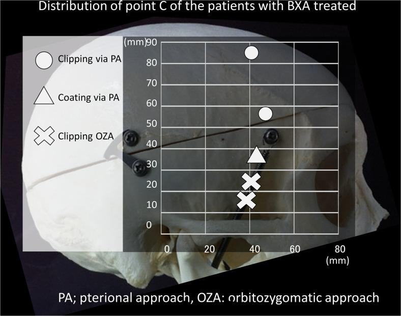 https://cdn.ncbi.nlm.nih.gov/pmc/blobs/7ca7/5177669/43e4073b6889/701_2016_3018_Fig4_HTML.jpg