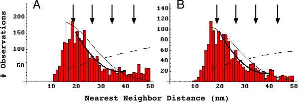 https://cdn.ncbi.nlm.nih.gov/pmc/blobs/7ca7/61448/74cecd5eadaf/1471-2202-2-19-3.jpg