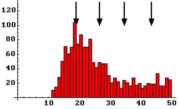 https://cdn.ncbi.nlm.nih.gov/pmc/blobs/7ca7/61448/e4056a28a042/1471-2202-2-19-10.jpg