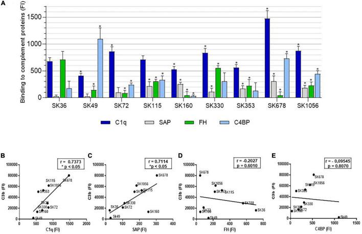 https://cdn.ncbi.nlm.nih.gov/pmc/blobs/7ca7/9058168/652ef6103bc2/fmicb-13-875581-g005.jpg