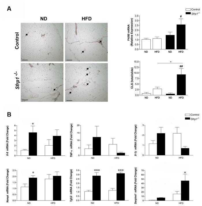 https://cdn.ncbi.nlm.nih.gov/pmc/blobs/7ca9/3855156/4a8c1aa163d6/pone.0078320.g005.jpg