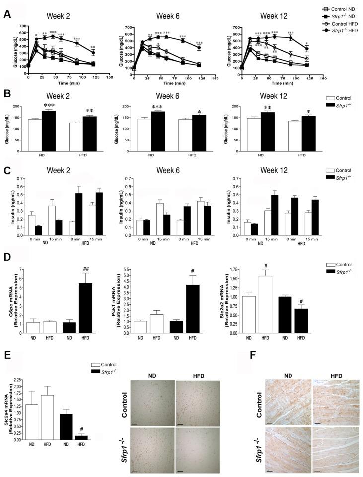 https://cdn.ncbi.nlm.nih.gov/pmc/blobs/7ca9/3855156/e68e0f260019/pone.0078320.g002.jpg